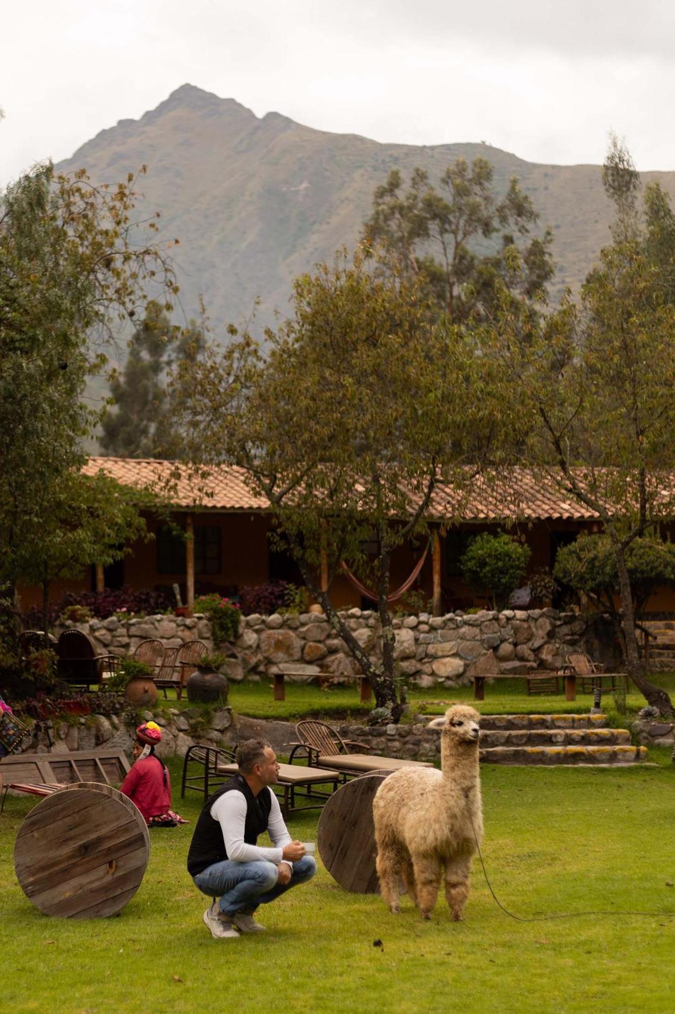Andean Wings Valley Urubamba Exterior foto